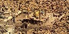  (796Wx398H) -  