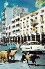 Al Rasheed St. (230Wx350H) - Al Rasheed St. in Baghdad 