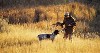 Hunting (500Wx268H) - A Hunter praising his pointer who retrieved his hunt  