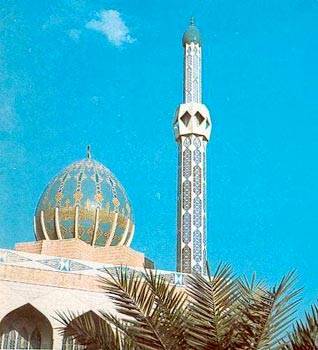 Download Bunniah Mosque (318Wx350H)