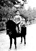 KING FAISAL II (287Wx400H) - KING FAISAL II 