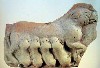 Fox (350Wx239H) - Isinlarsa 2000BC - Fox 