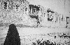 Kathumia (500Wx321H) - Kathumia - Baghdad 
