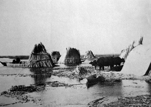Download Reed mats houses (494Wx350H)