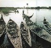 Different types (367Wx350H) - Different types of boats used in the marshs of Iraq 
