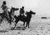 Bedouins (500Wx349H) - Bedouins on Horses 