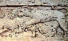 Ivory Panel (350Wx214H) - Nimrud 9CBC - Ivory Panel 