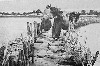 A runaway  bridge of (481Wx318H) - A runaway  bridge of sand 