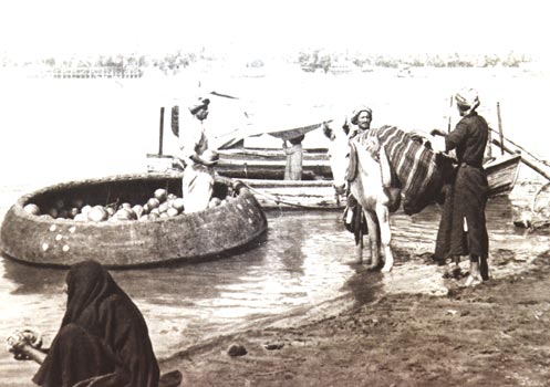 Download Baghdad (497Wx350H)