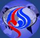 Sotaliraq.com